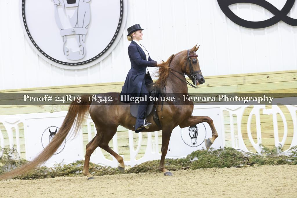Proof 24R13_18542
