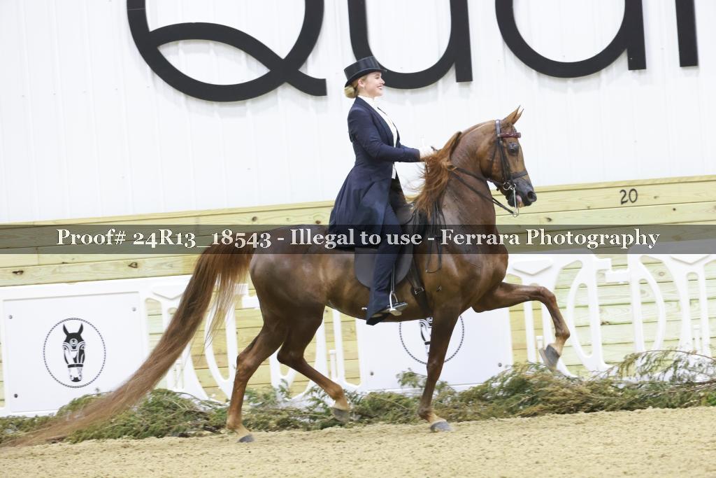 Proof 24R13_18543