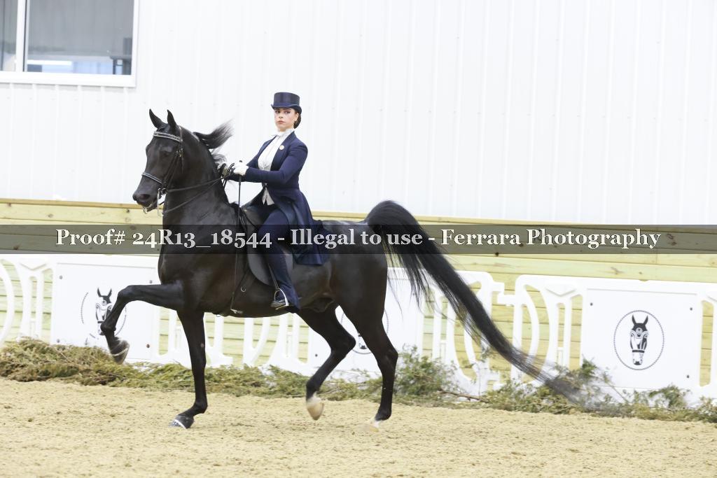 Proof 24R13_18544