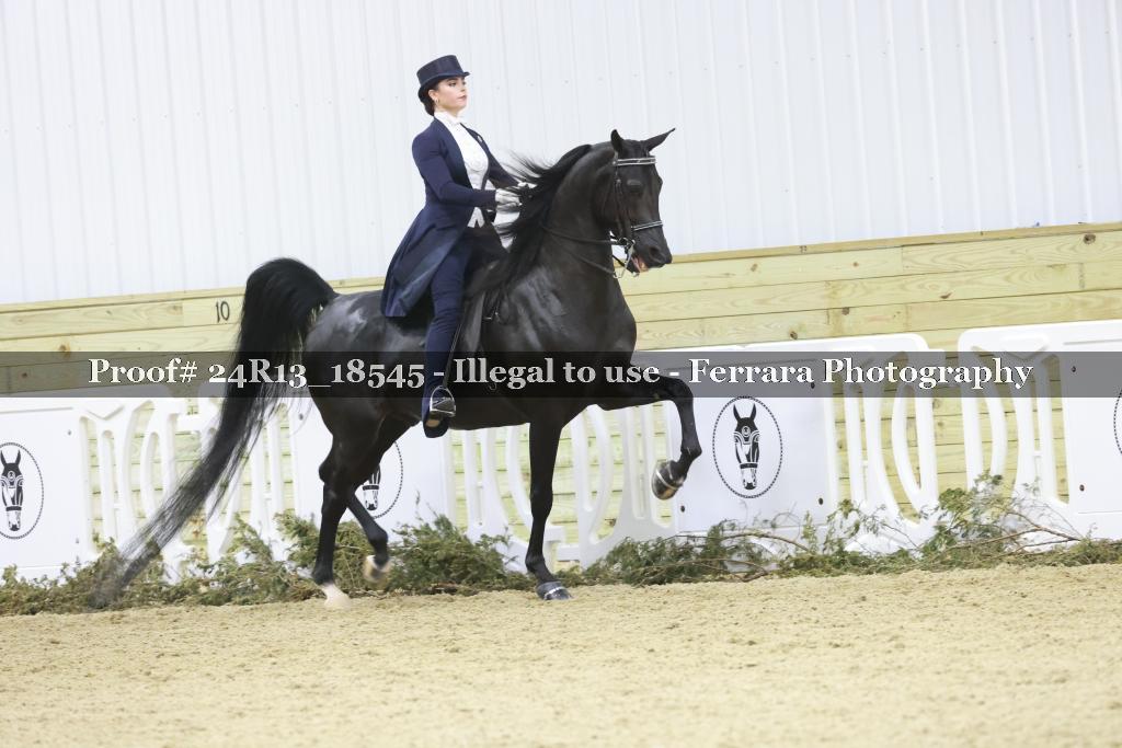 Proof 24R13_18545