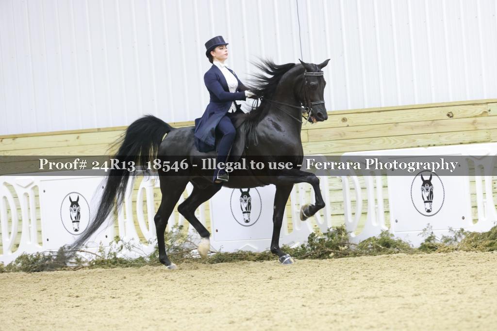 Proof 24R13_18546