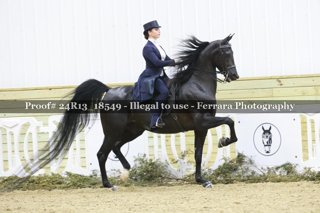 Proof 24R13_18549