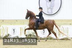24R13_18553 proof