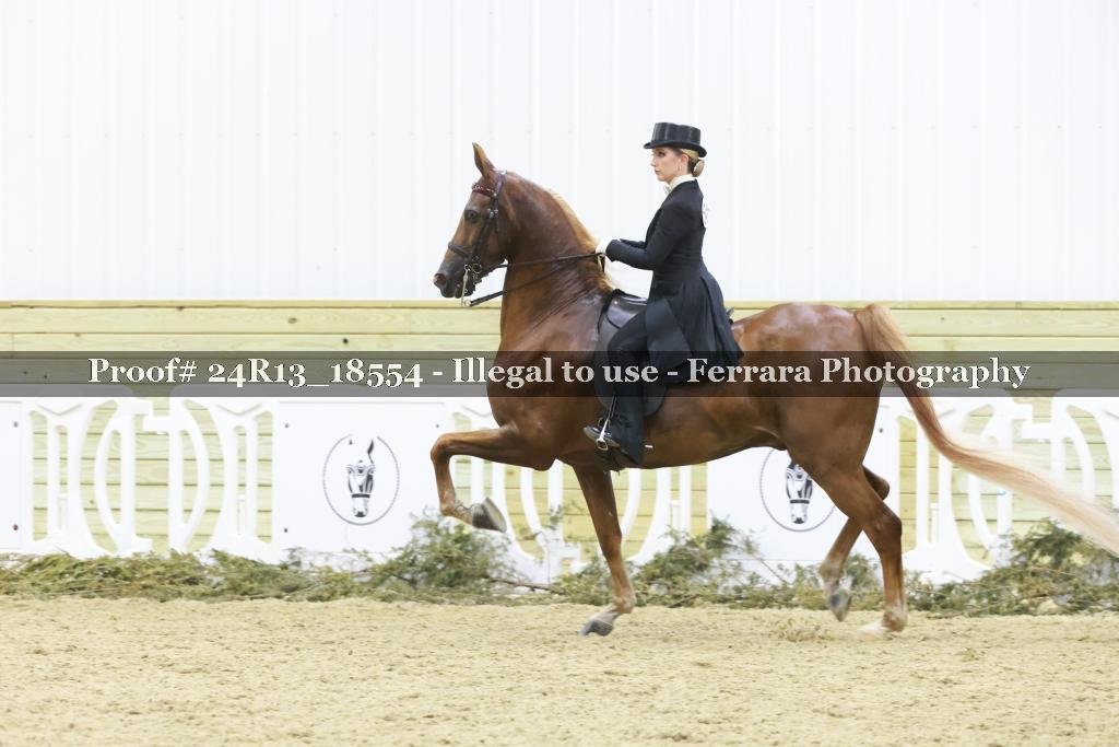Proof 24R13_18554