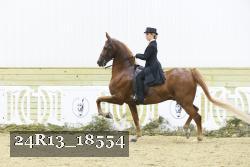 24R13_18554 proof