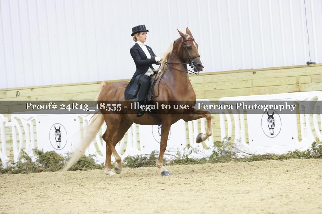 Proof 24R13_18555