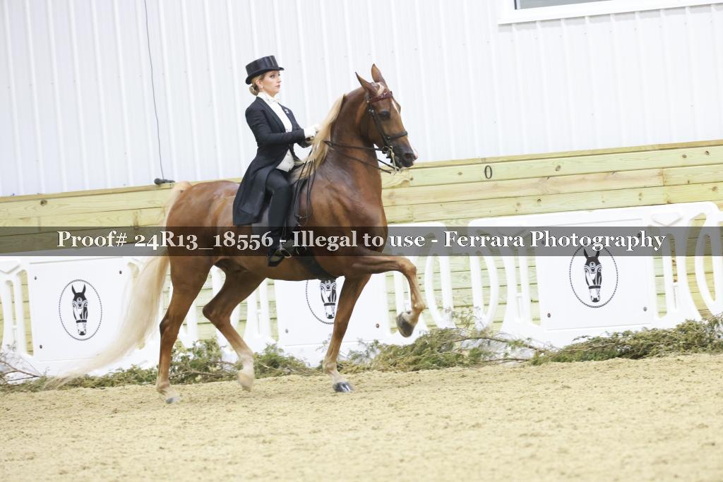 Proof 24R13_18556