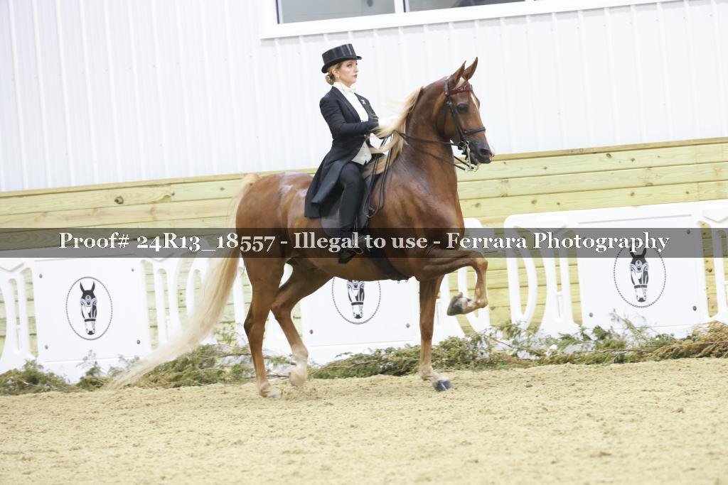 Proof 24R13_18557