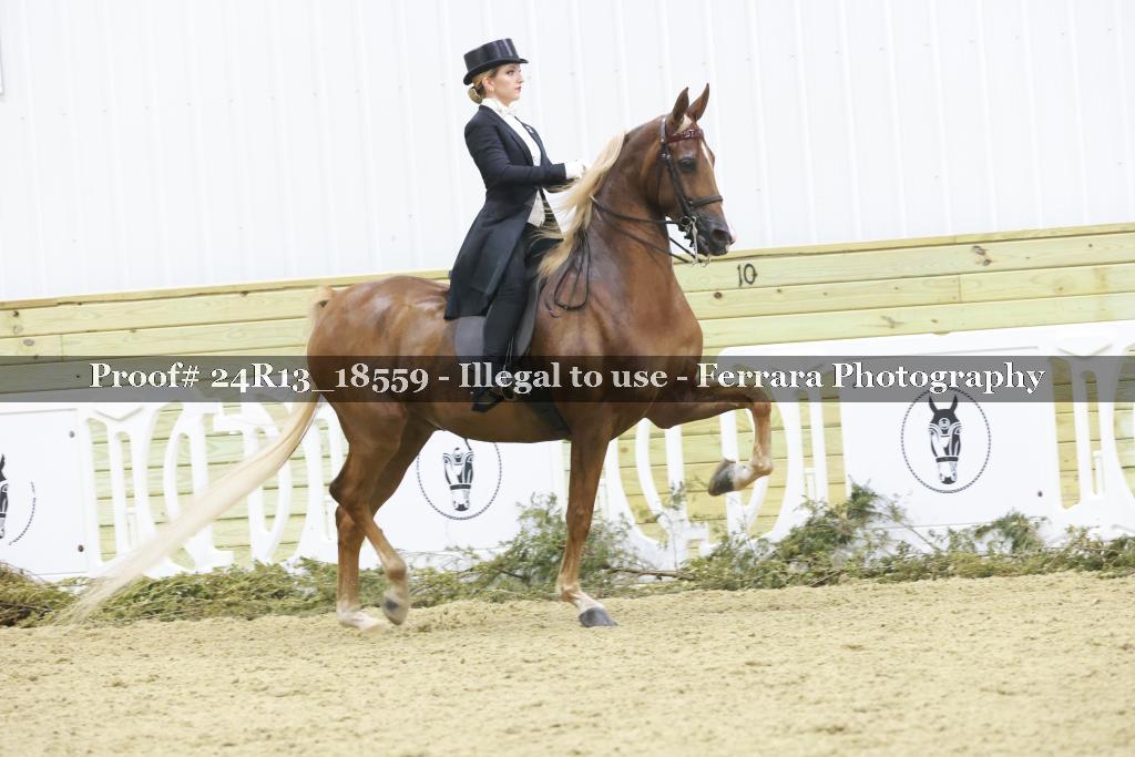 Proof 24R13_18559