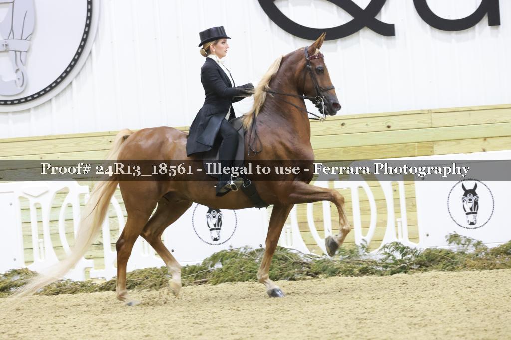 Proof 24R13_18561