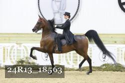 24R13_18563 proof