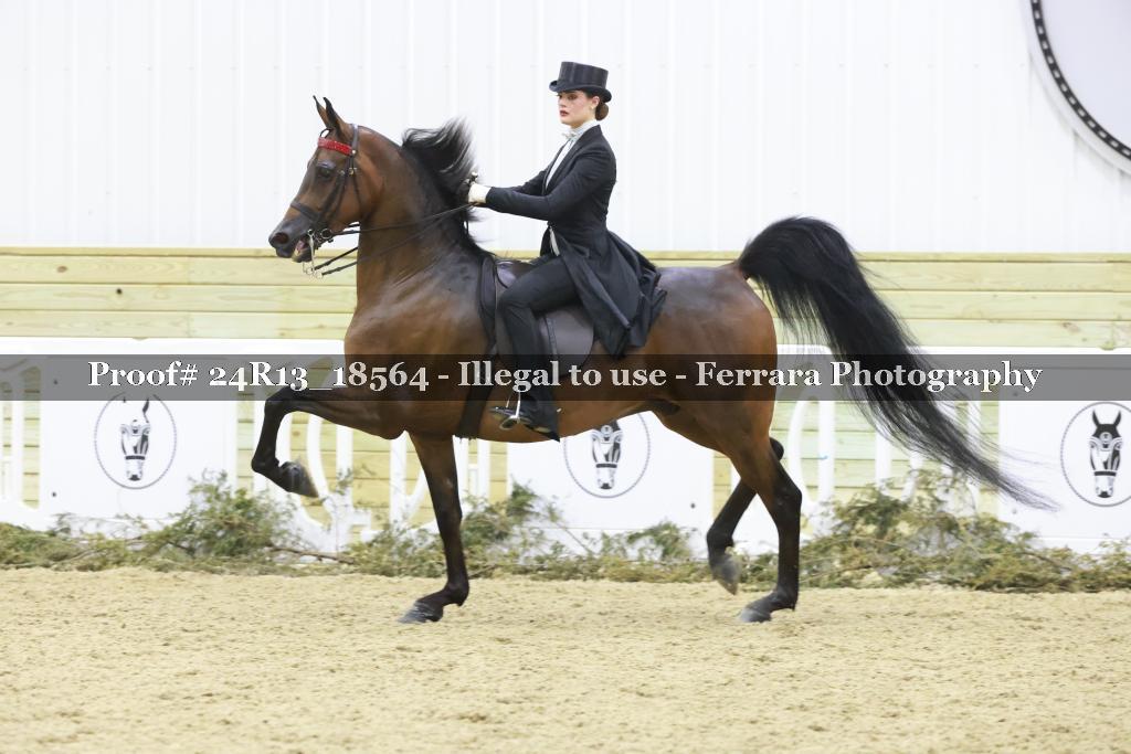Proof 24R13_18564