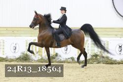 24R13_18564 proof