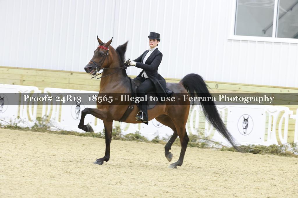 Proof 24R13_18565