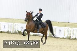 24R13_18566 proof