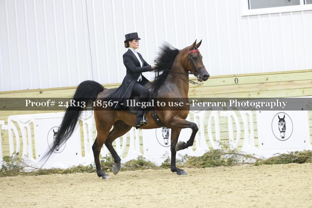 Proof 24R13_18567