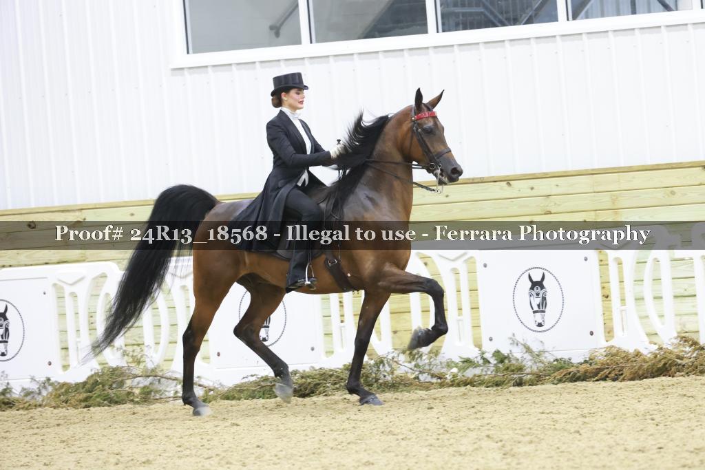 Proof 24R13_18568