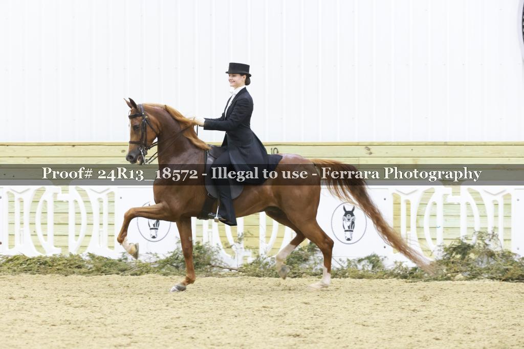 Proof 24R13_18572
