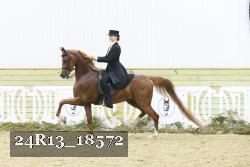 24R13_18572 proof