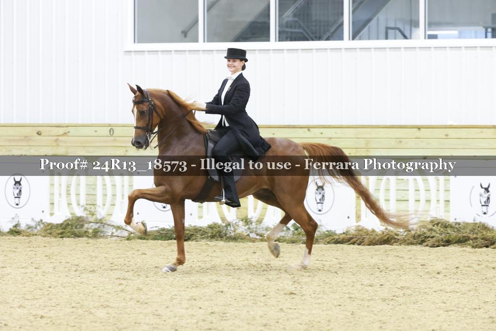 Proof 24R13_18573