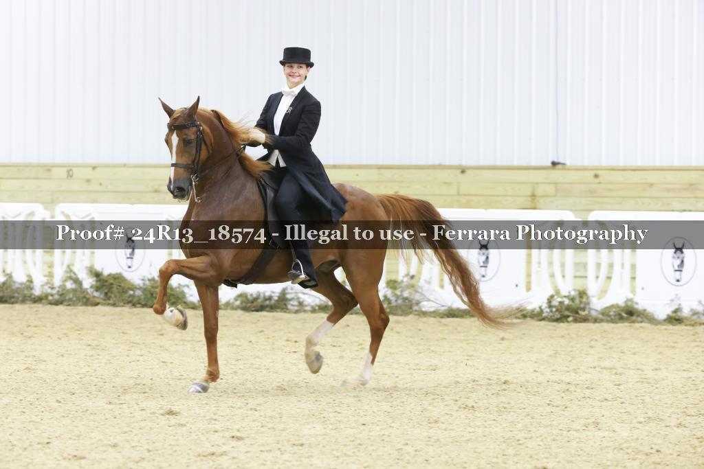 Proof 24R13_18574