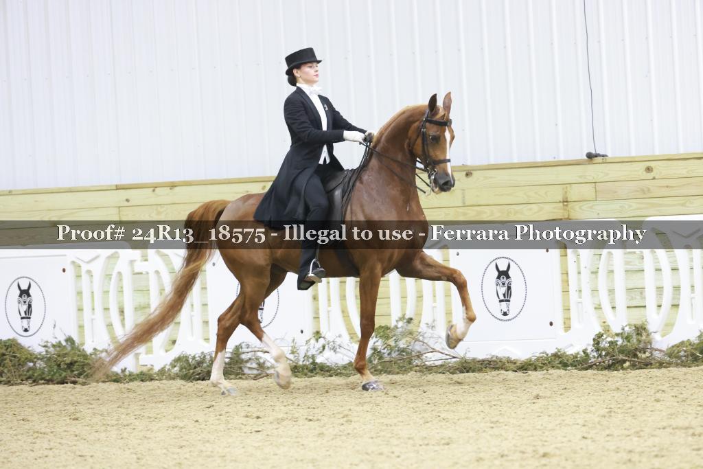 Proof 24R13_18575