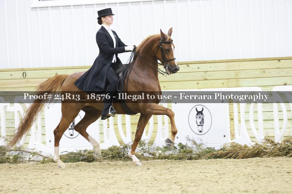 Proof 24R13_18576