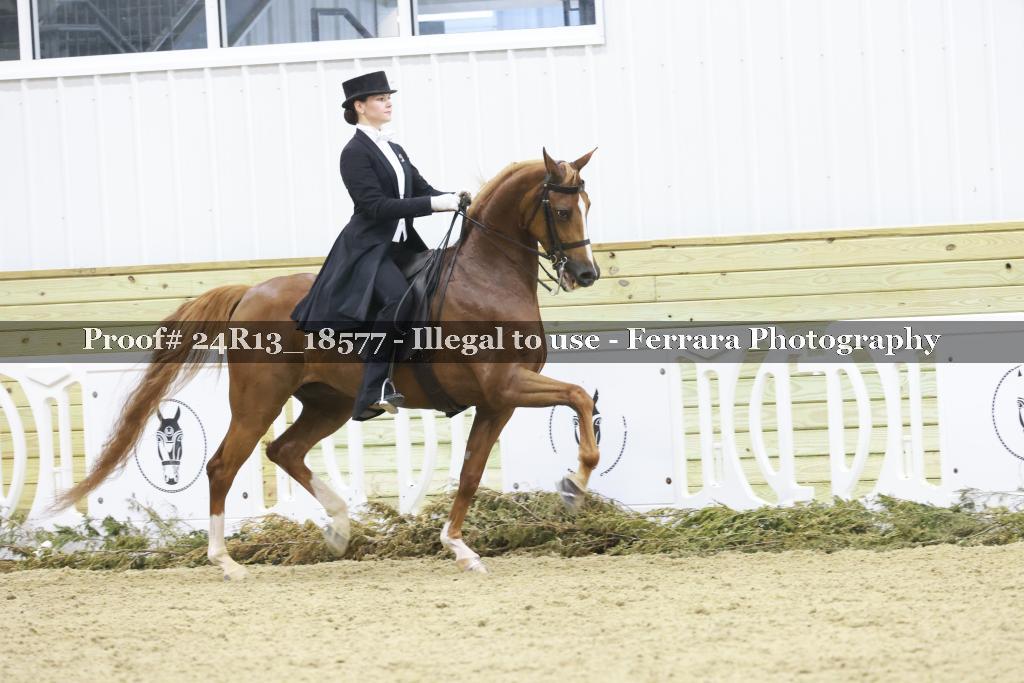 Proof 24R13_18577
