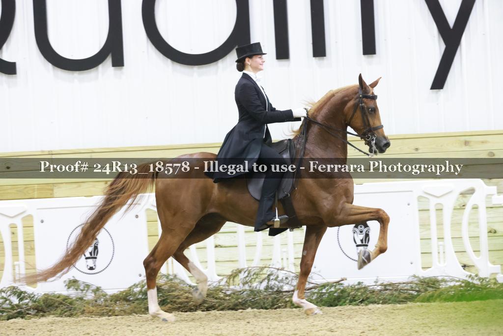 Proof 24R13_18578