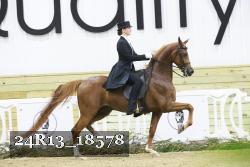 24R13_18578 proof