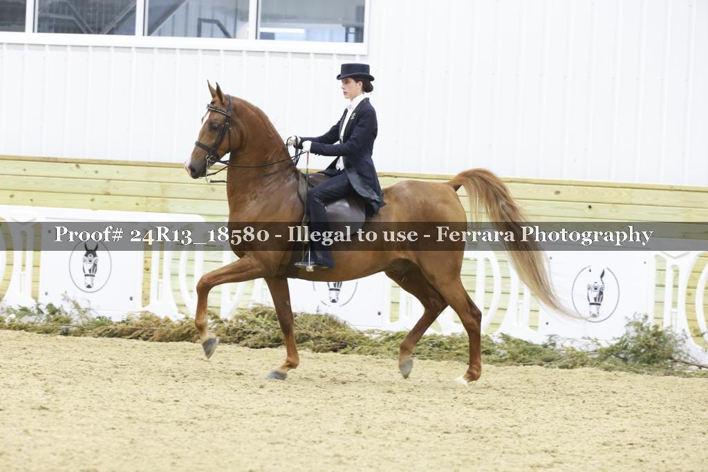 Proof 24R13_18580