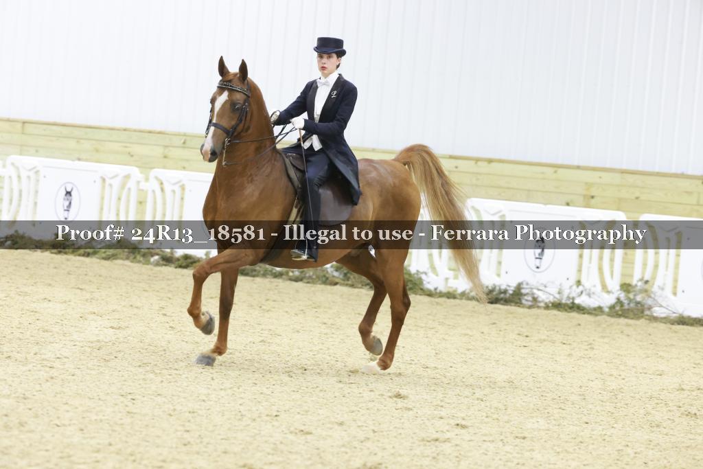 Proof 24R13_18581