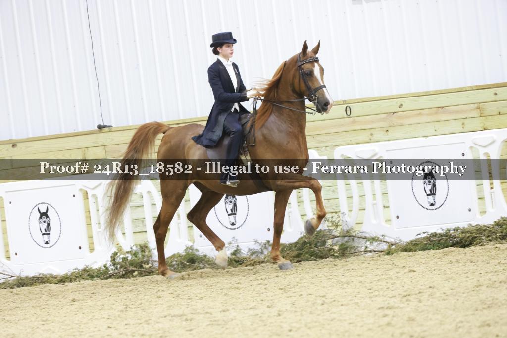 Proof 24R13_18582