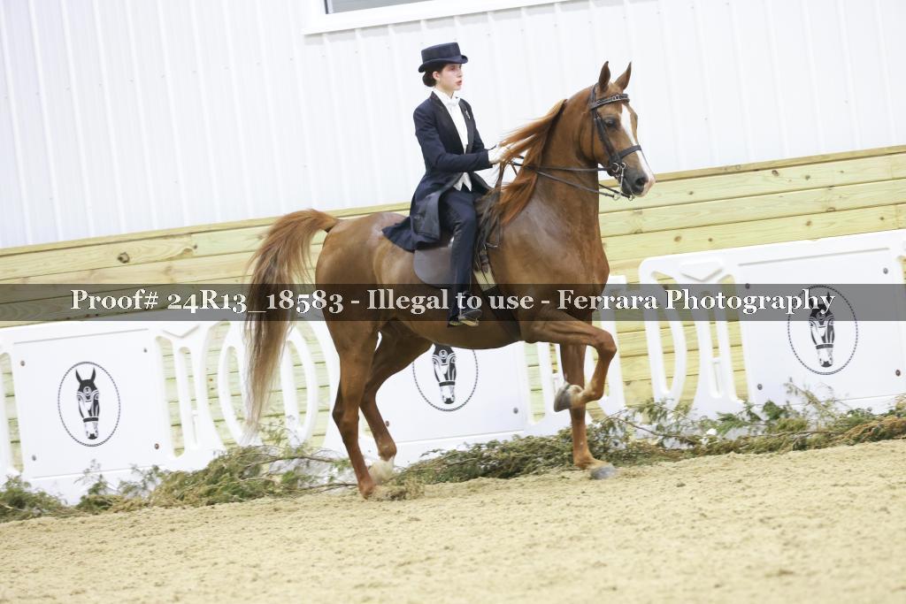 Proof 24R13_18583