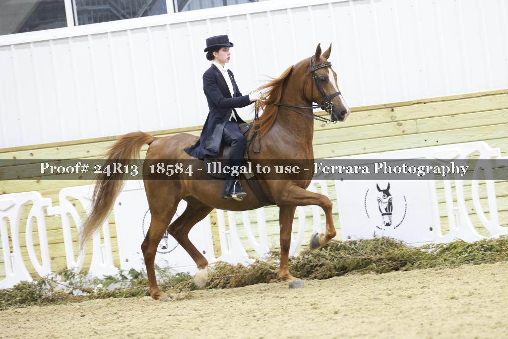 Proof 24R13_18584