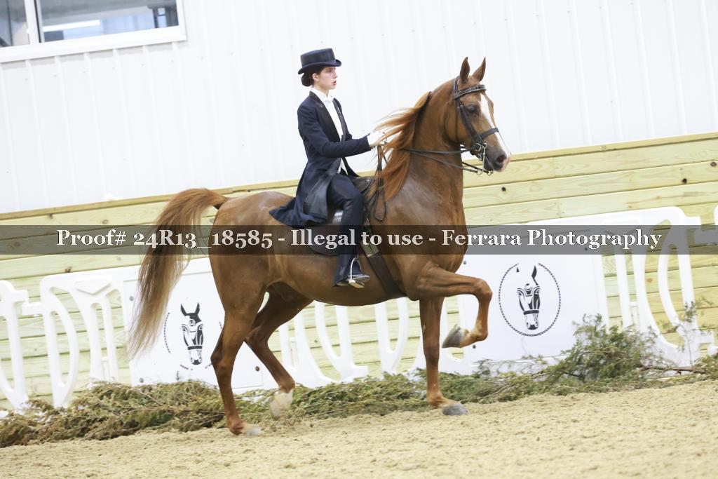 Proof 24R13_18585