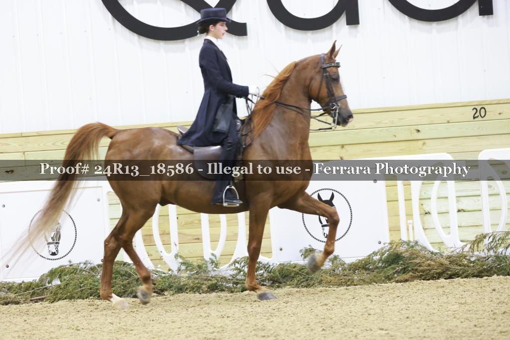 Proof 24R13_18586
