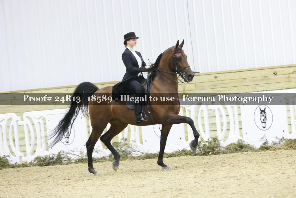 Proof 24R13_18589