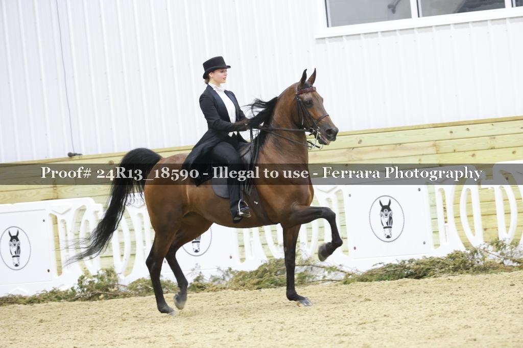 Proof 24R13_18590