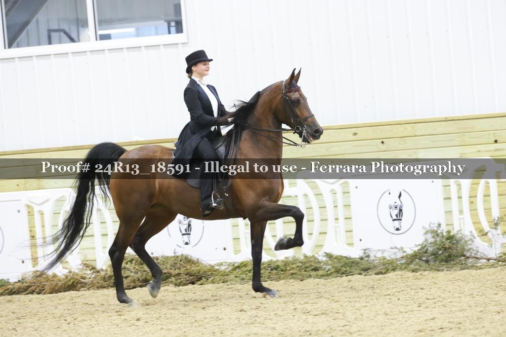Proof 24R13_18591