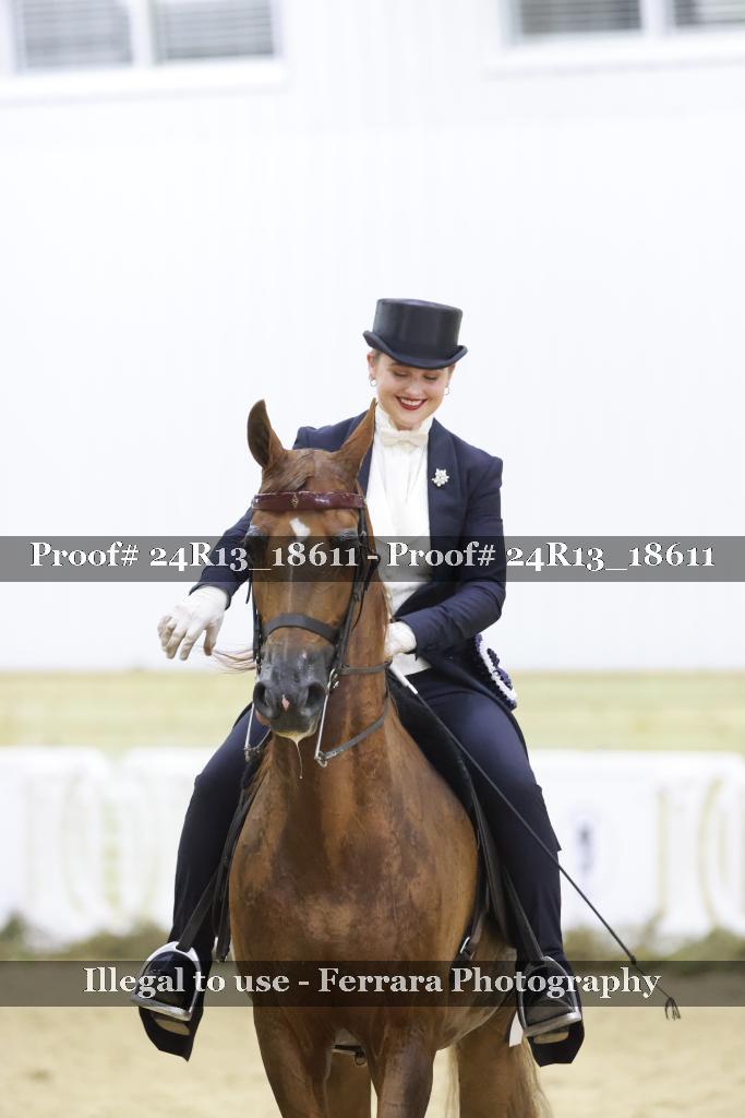 Proof 24R13_18611