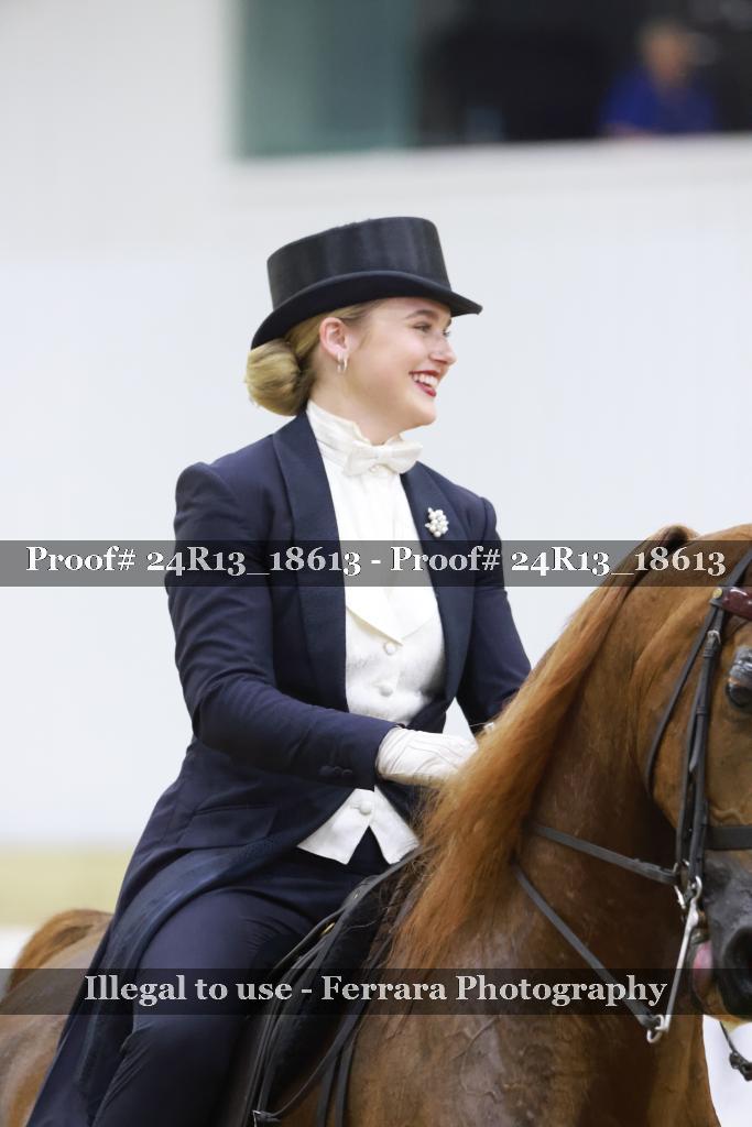 Proof 24R13_18613