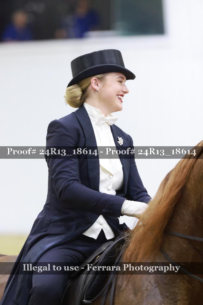 Proof 24R13_18614