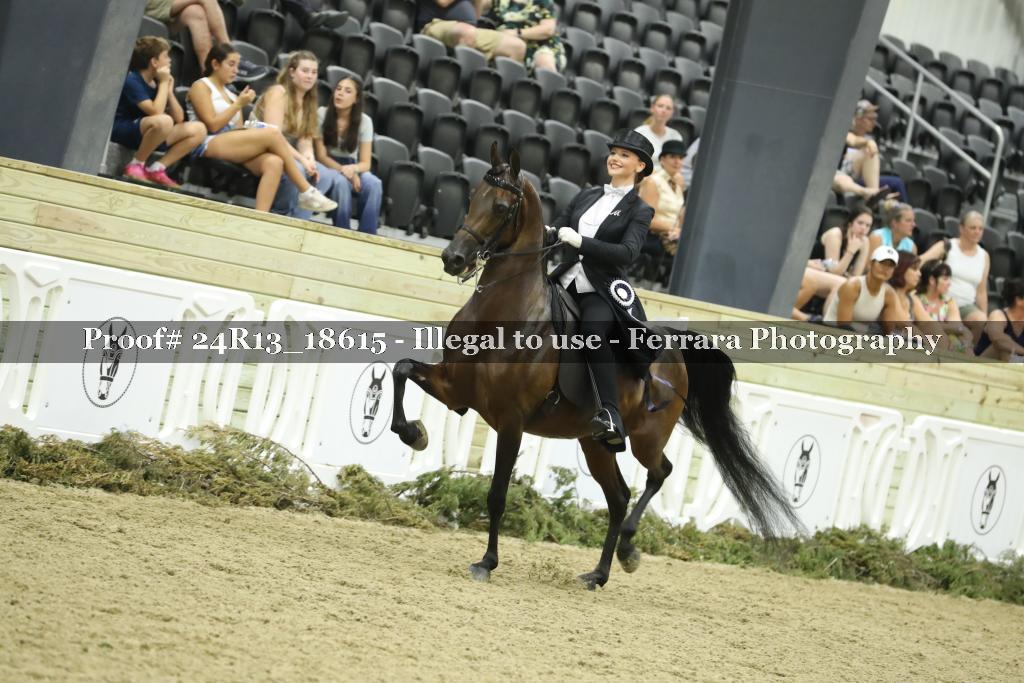 Proof 24R13_18615