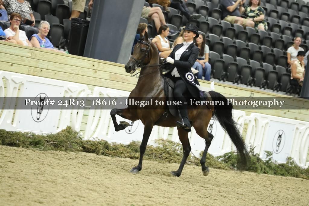 Proof 24R13_18616
