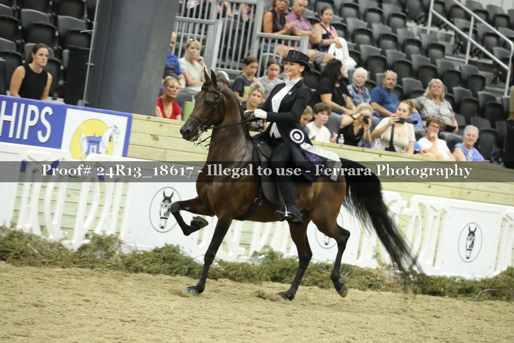 Proof 24R13_18617