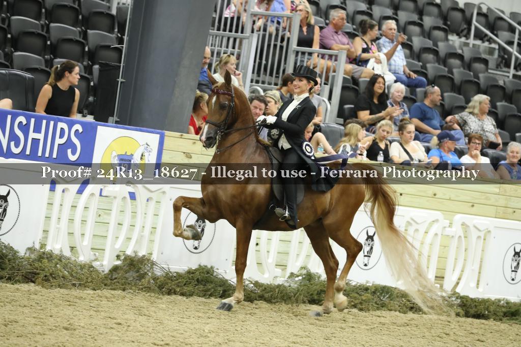 Proof 24R13_18627