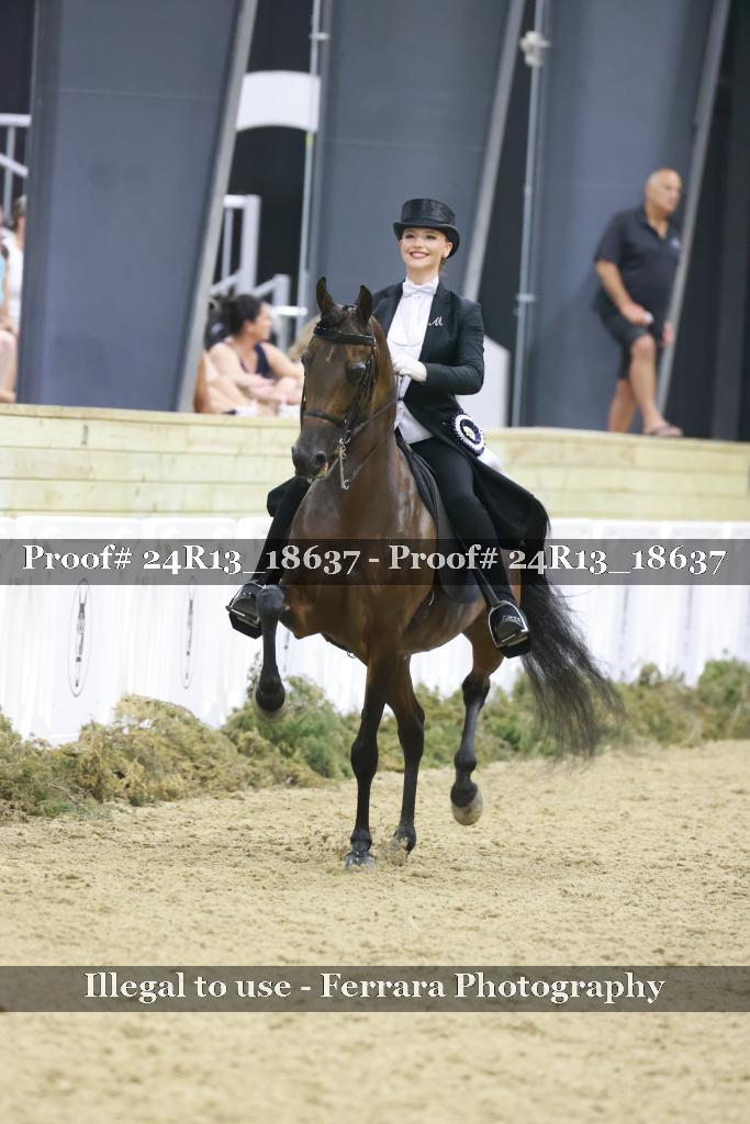 Proof 24R13_18637