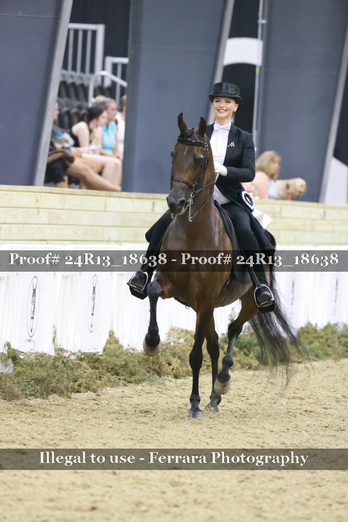 Proof 24R13_18638
