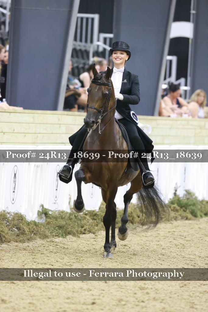 Proof 24R13_18639